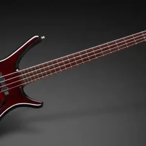 Gratis Versand Warwick Masterbuilt Infinity, Birdseye Maple, 4-String - Burgundy Blackburst Transparent High Polish