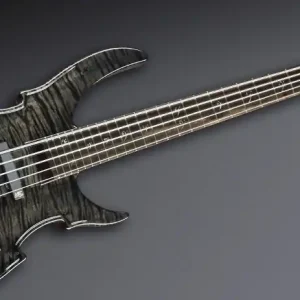 Warwick Masterbuilt Vampyre, 5-String - Nirvana Black Transparent High Polish Jetzt Bestellen