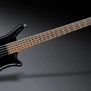 Begrenztes Angebot Warwick Teambuilt Pro Series Thumb BO, 5-String Solid Black High Polish